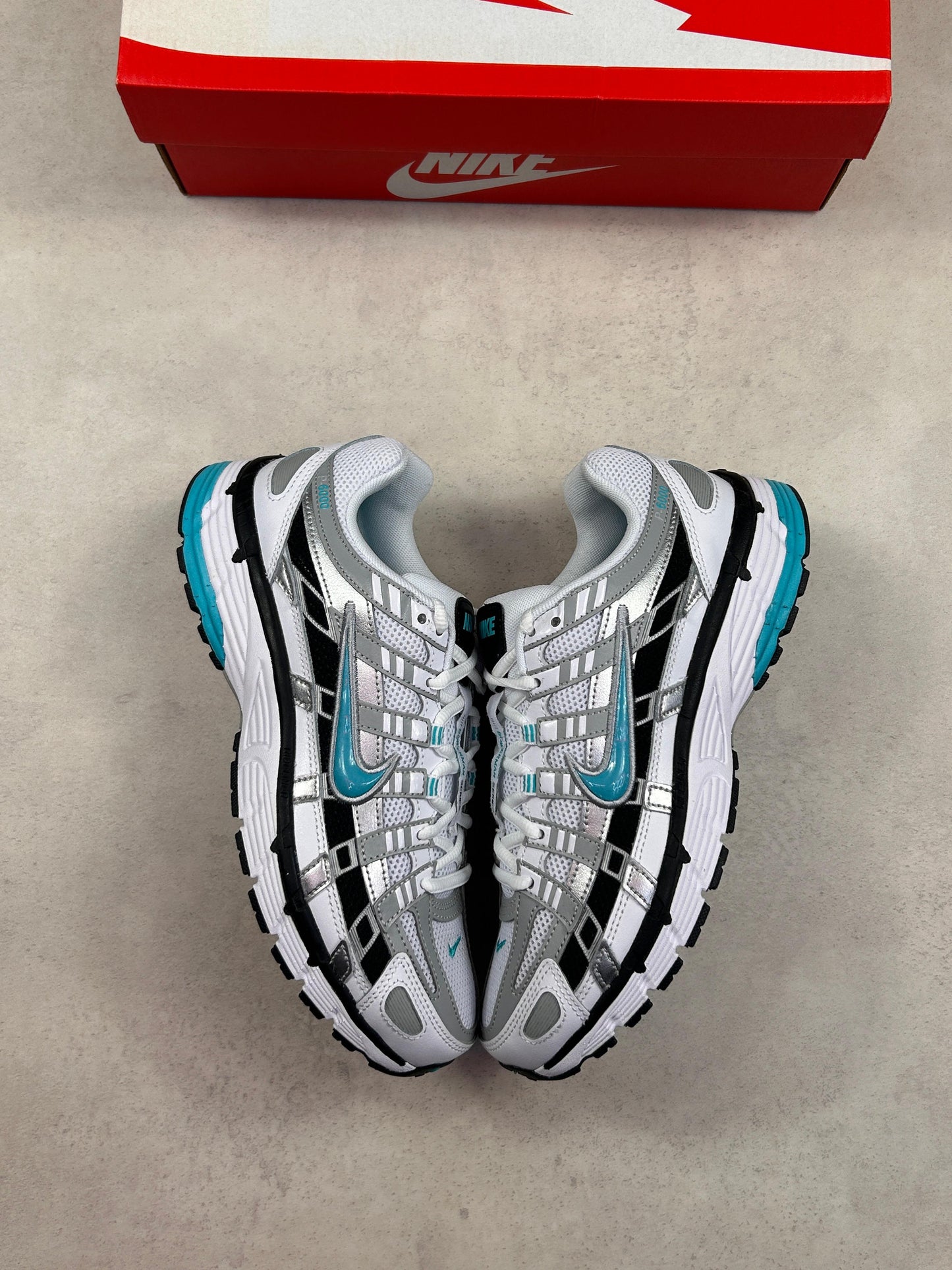 P6000 - Dusty Cactus