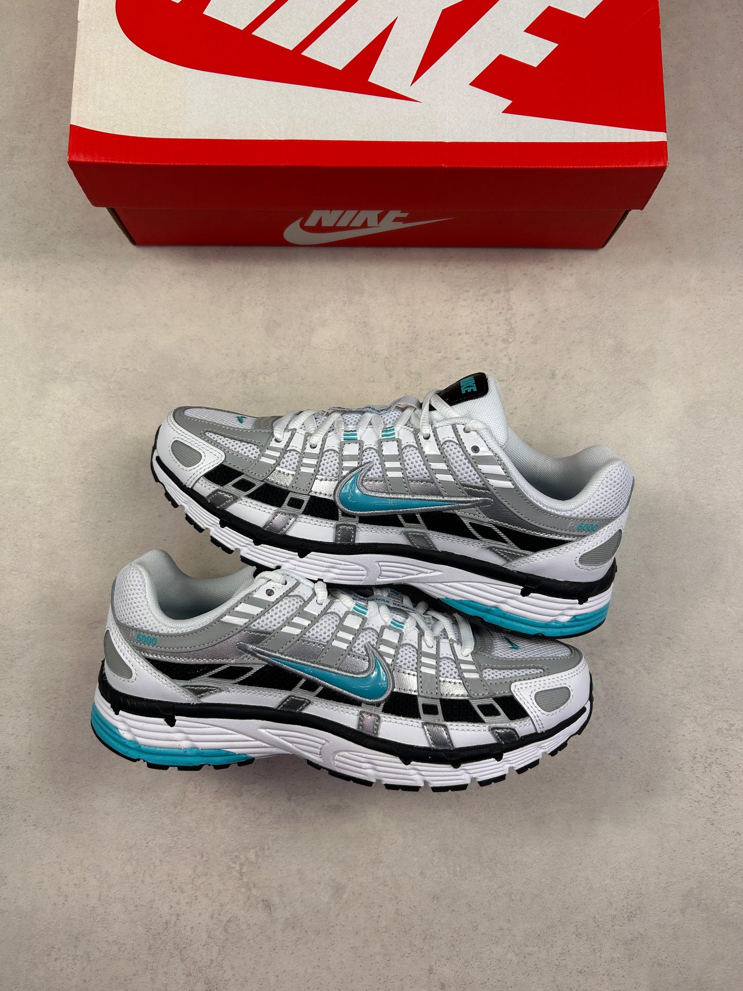 P6000 - Dusty Cactus