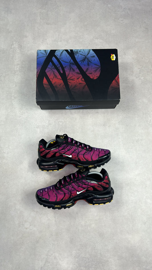 Junior TN 25th Anniversary