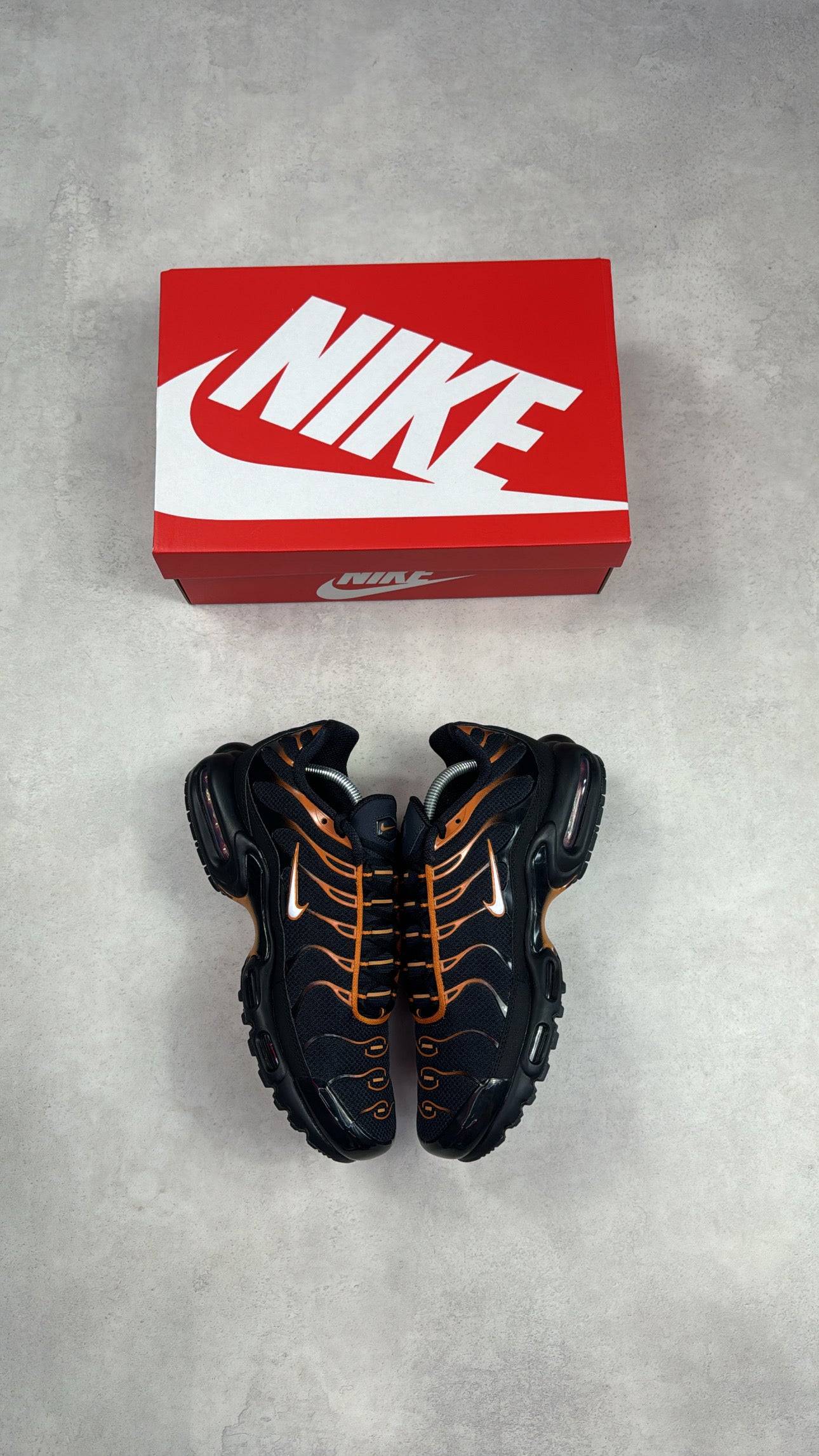 TN Dark Obsidian Monarch