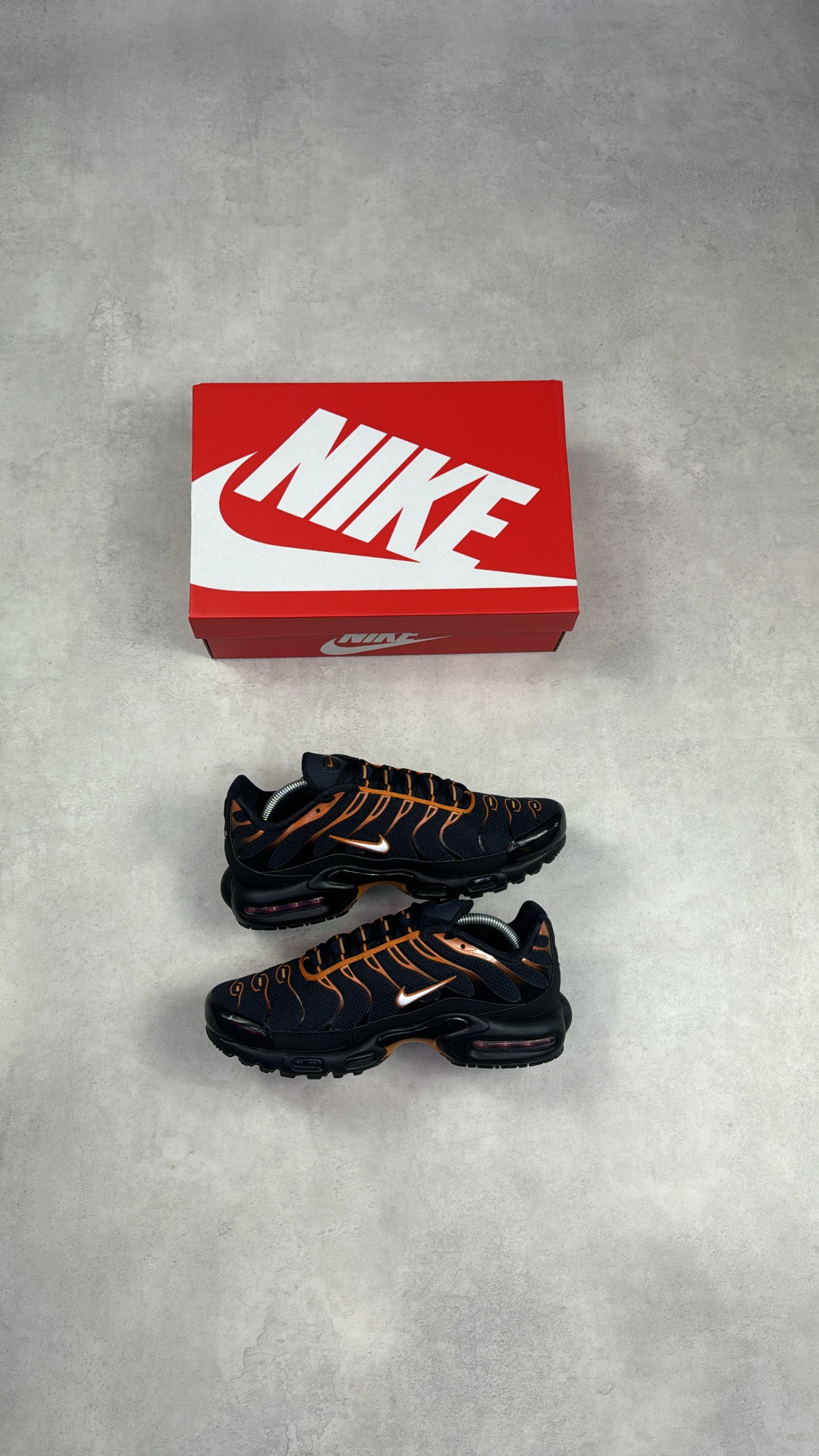 TN Dark Obsidian Monarch